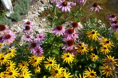 Staudengarten046