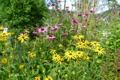 Staudengarten059
