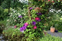 Staudengarten089