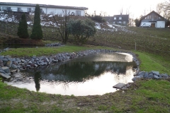 Teichanlage
